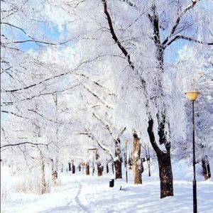 Meet your Posher, Katherine